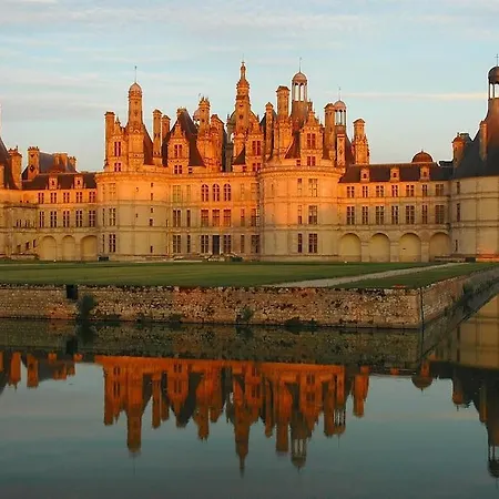 Le Chaleureux. Maison A 2 Pas Du Centre Ville/Proche Du Zoo De Beauval Le Controis-en-Sologne Exterior photo