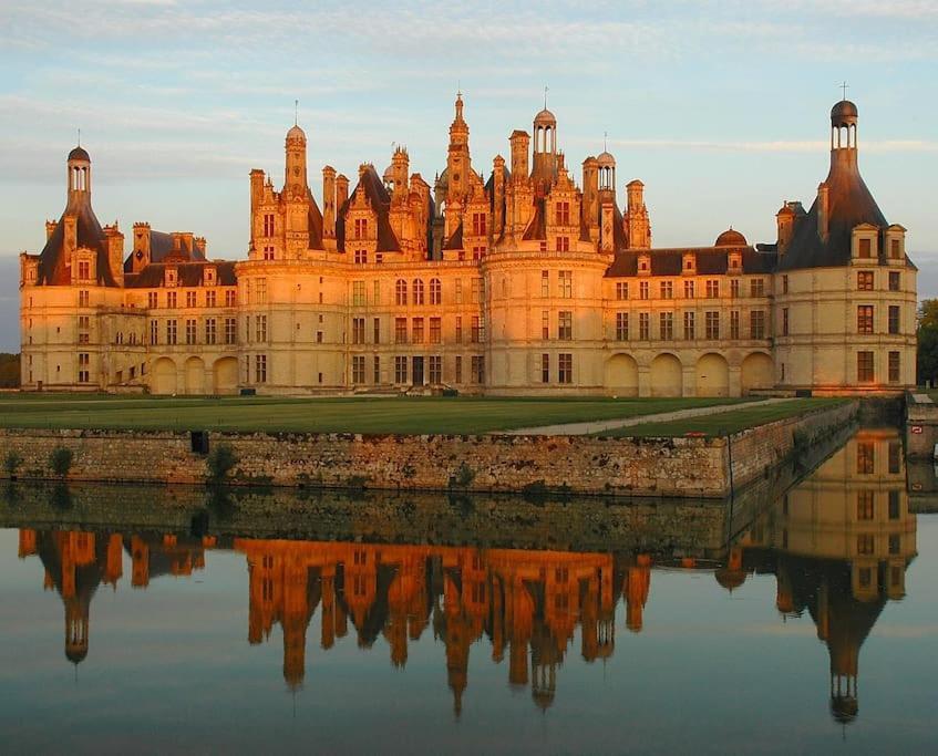 Le Chaleureux. Maison A 2 Pas Du Centre Ville/proche Du Zoo De Beauval Le Controis-en-Sologne
